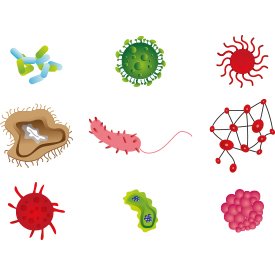 Çeşitli Bakteriler